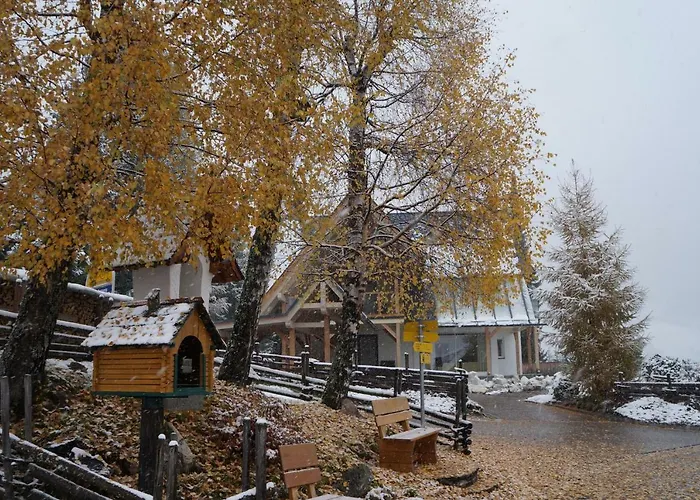 Апартаменты Apartment Bad Kleinkirchheim